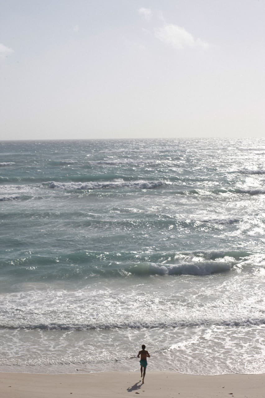 My Own Private Paradise