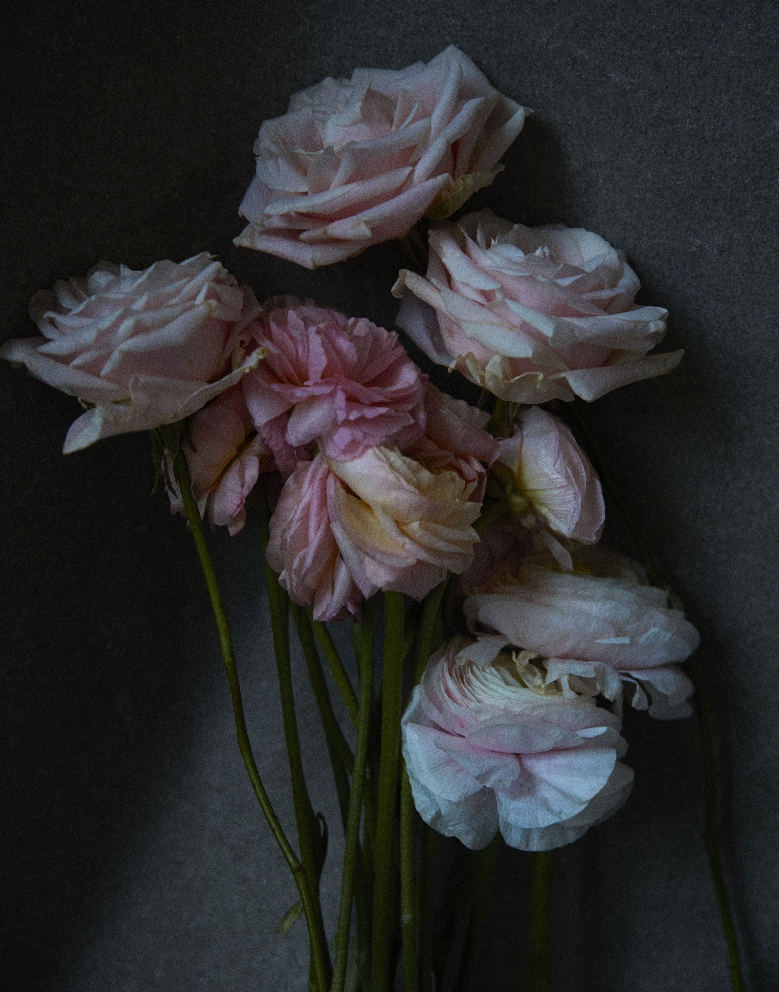 Quarantine Flowers II, VI, London, 2021