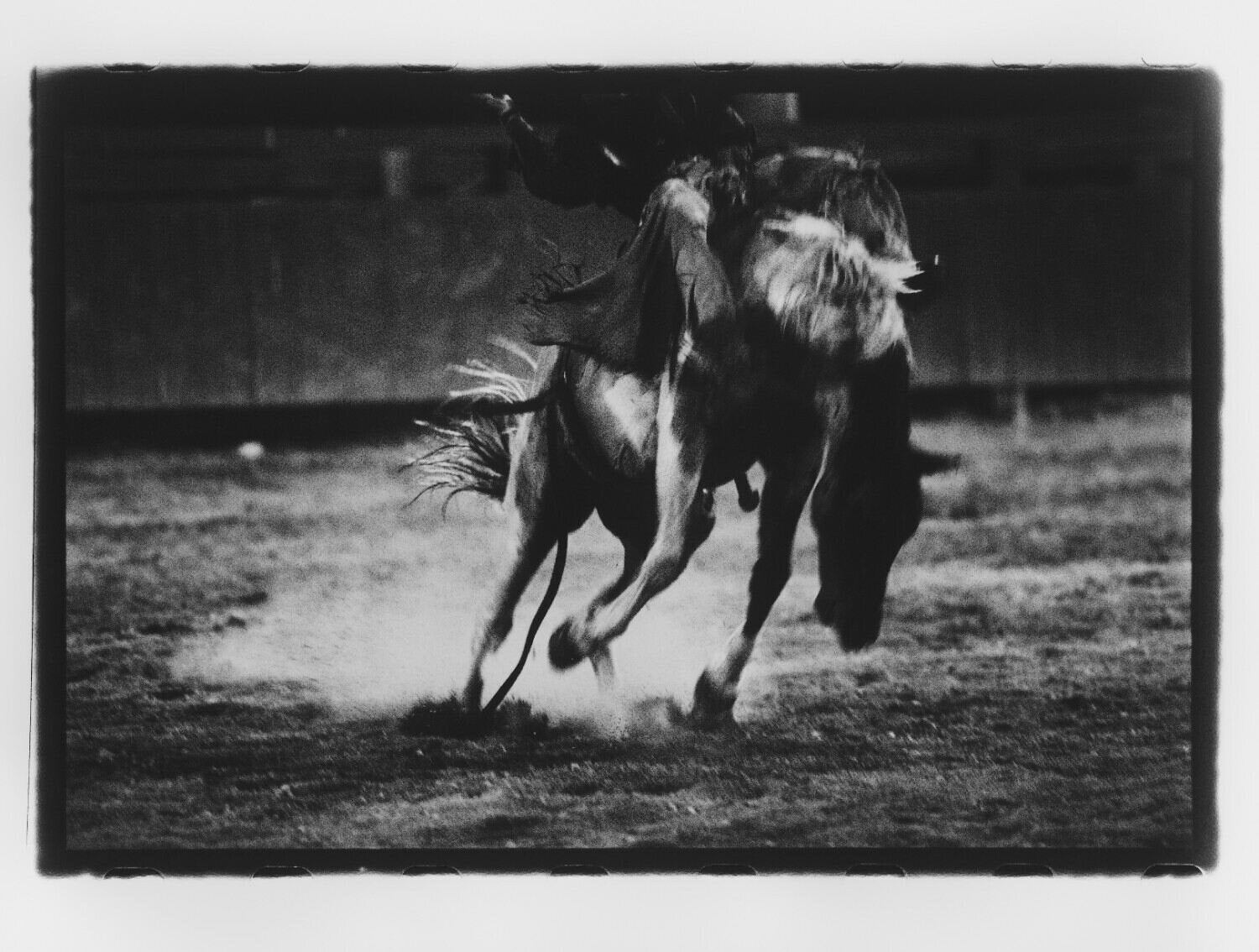 Rodeo in Gallup, Arizona