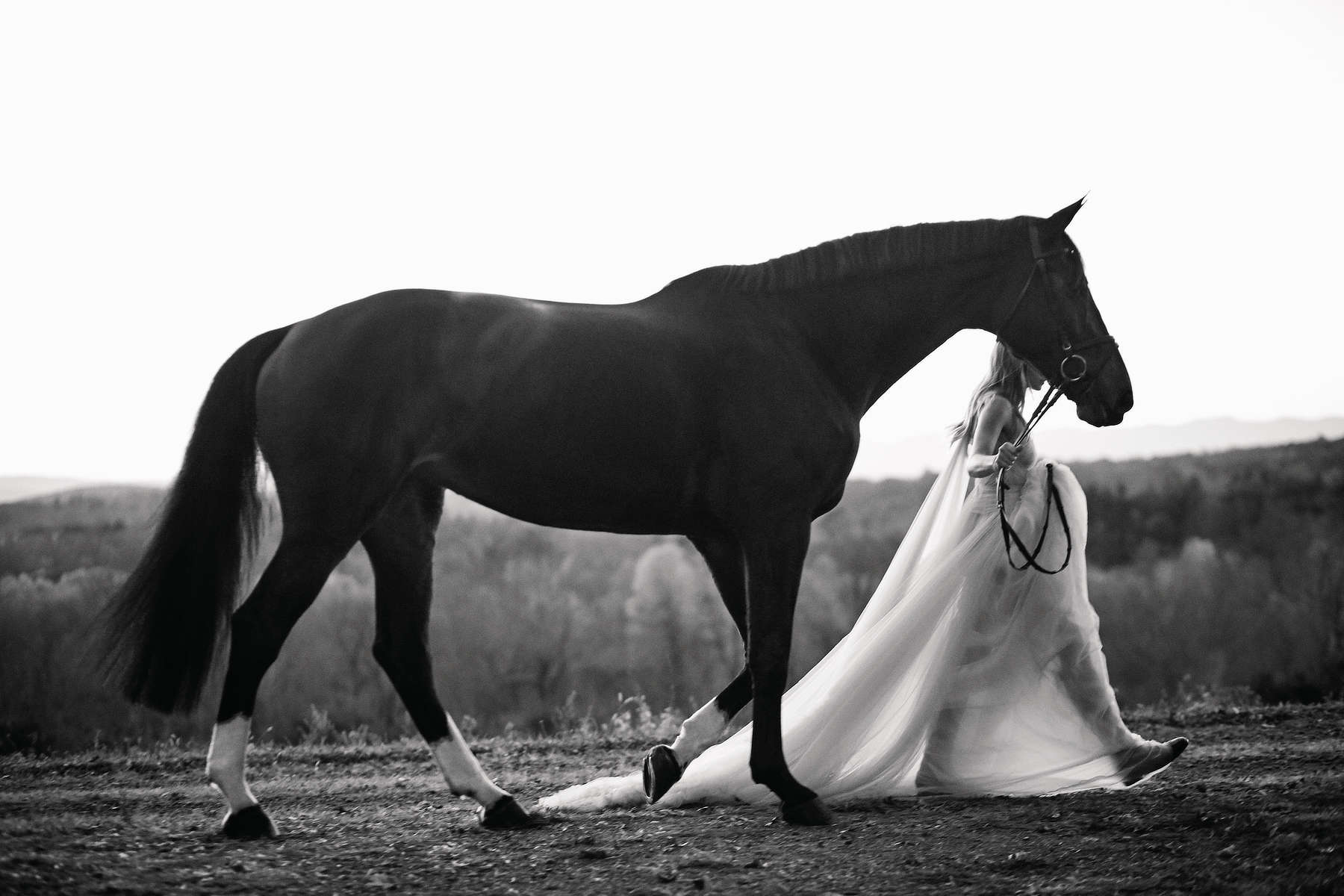 Richard Phibbs Photography | Photographer | The Selects Gallery