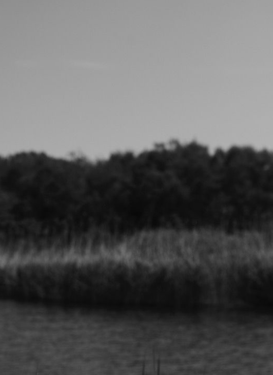 Washerwoman, Holland – 2020