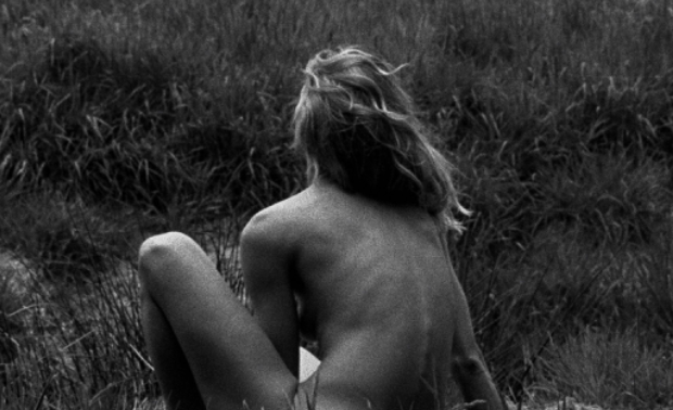 Field Reverie