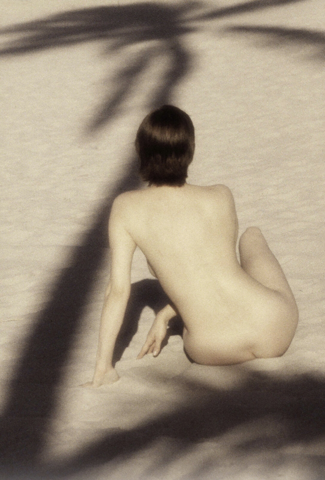 Under the Palm, 1994