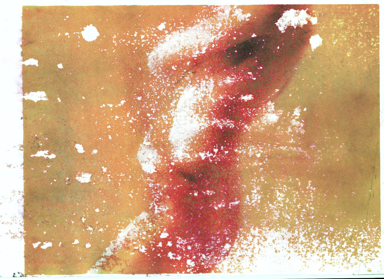 Wet Series 035V, 2018