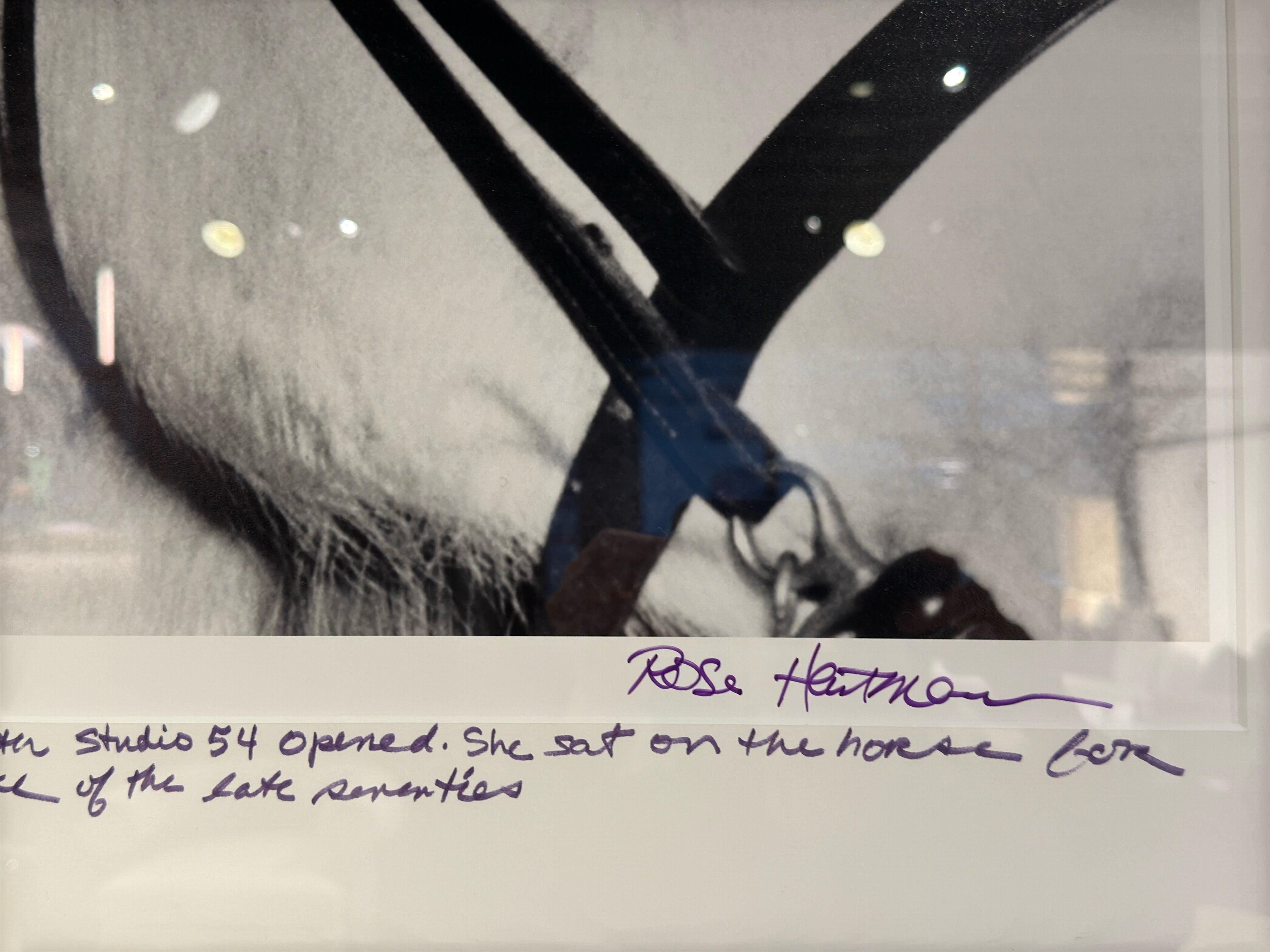 BIANCA JAGGER, STUDIO 54